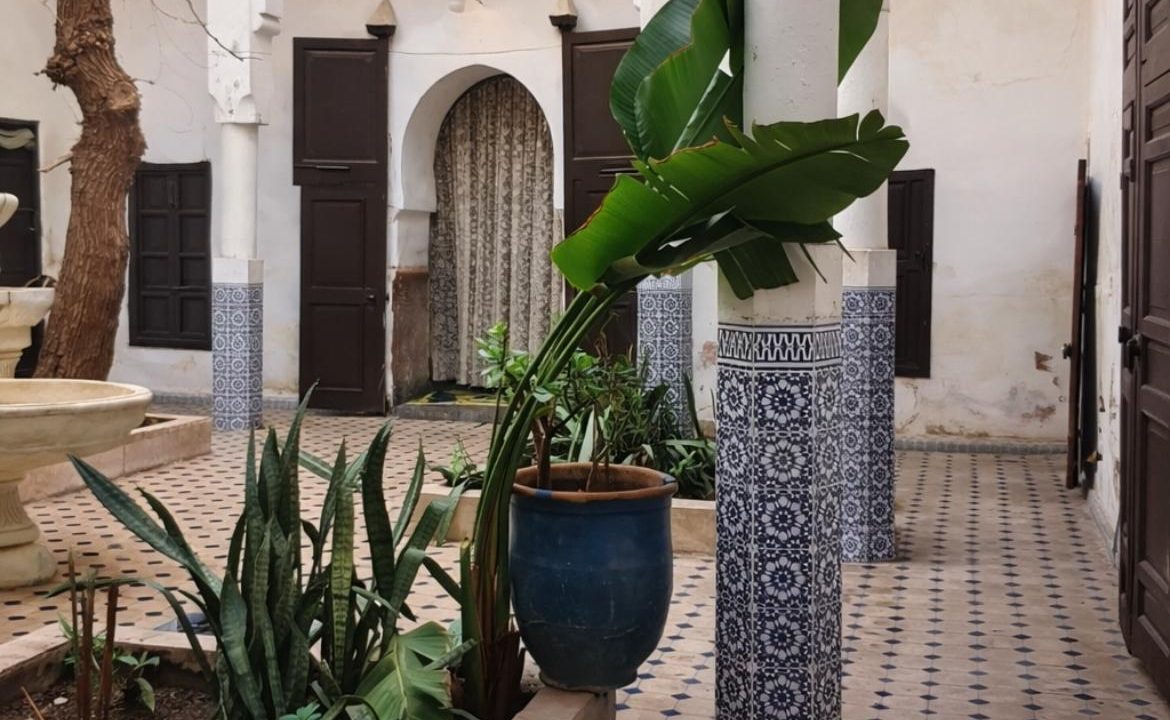 WhatsApp Image 2026-03-19 at 13.13.08