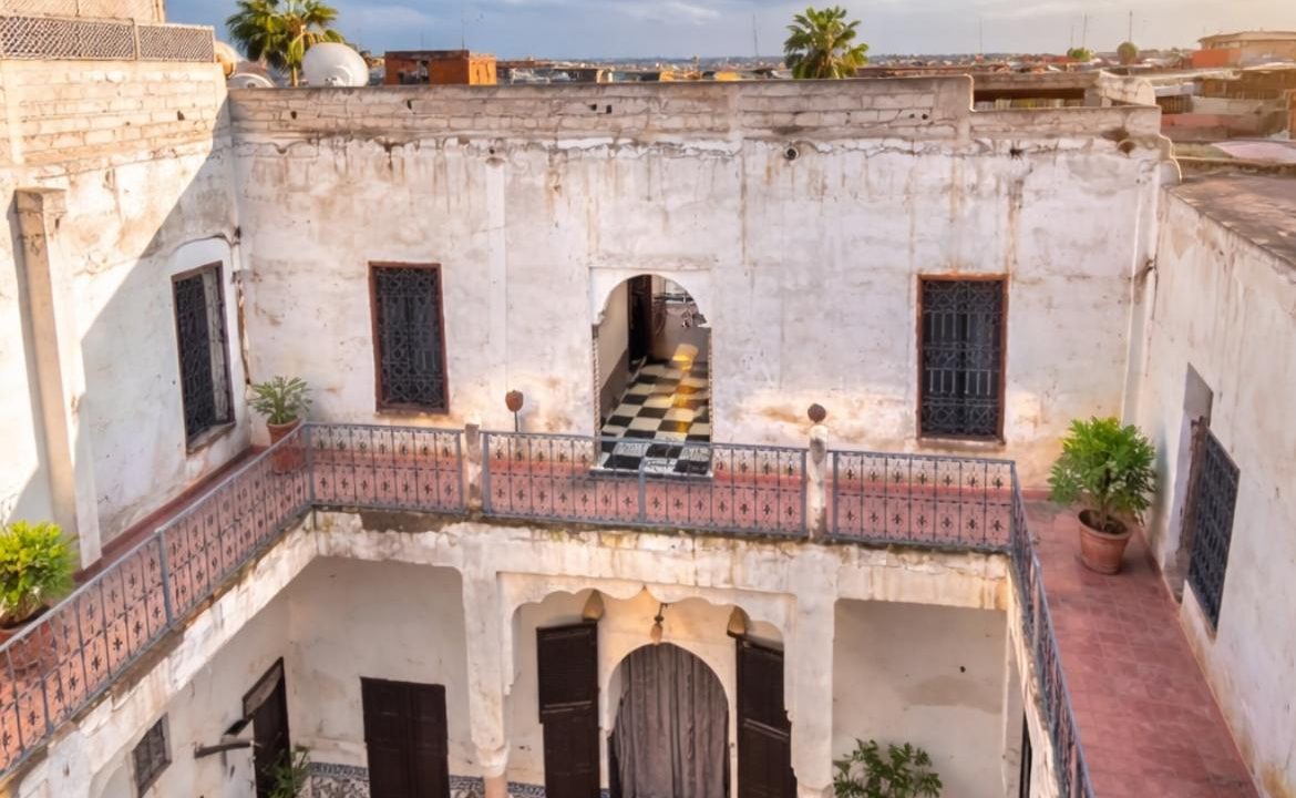 WhatsApp Image 2026-03-19 at 13.13.38