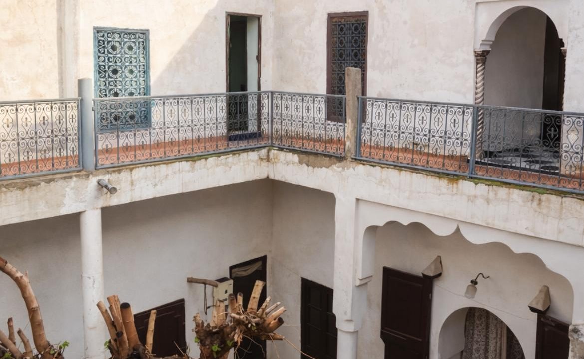 WhatsApp Image 2026-03-19 at 13.14.01