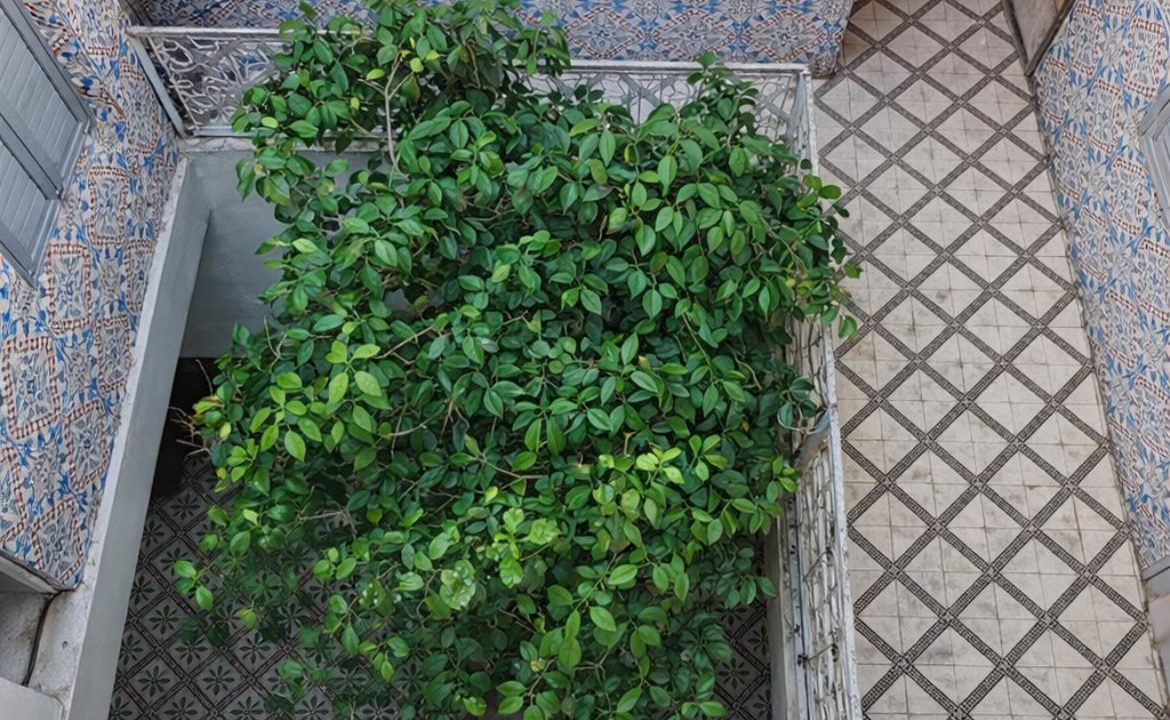 WhatsApp Image 2026-03-19 at 12.51.58