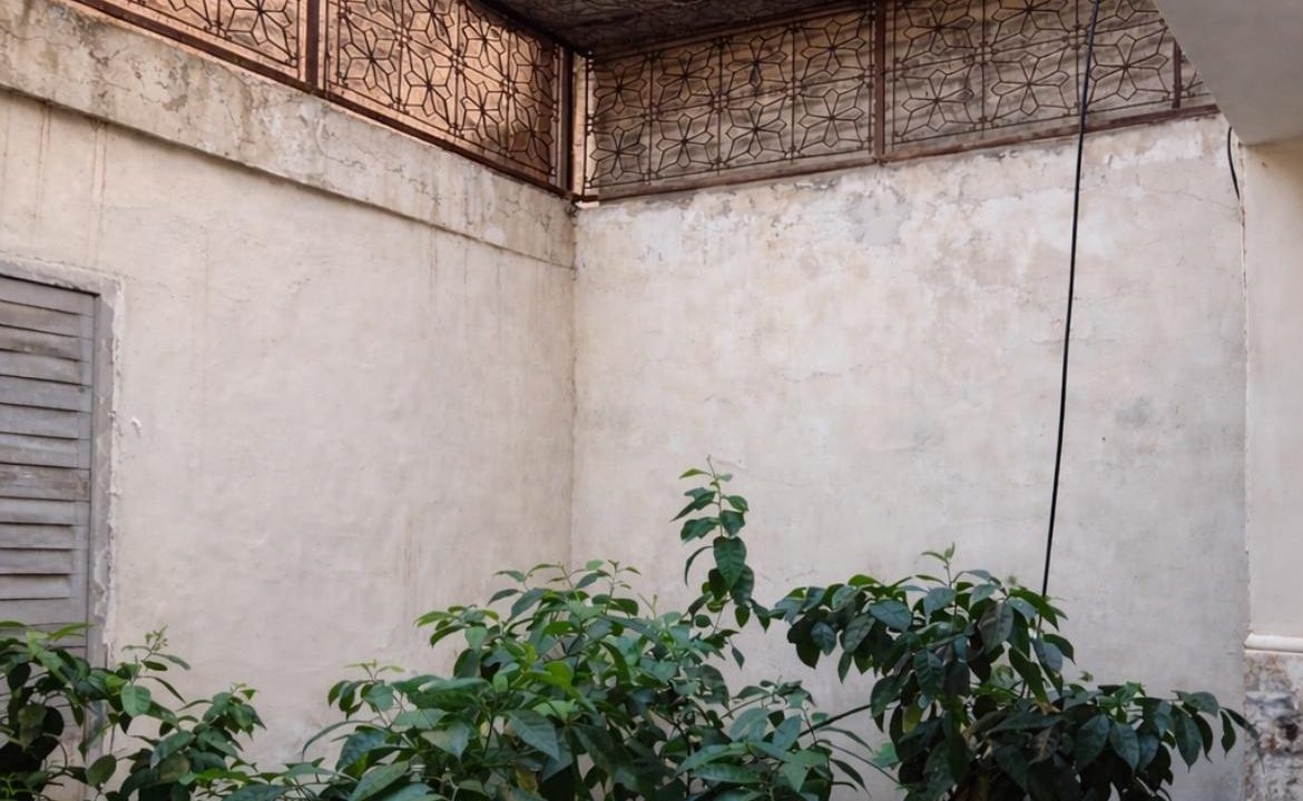 WhatsApp Image 2026-03-19 at 12.54.17