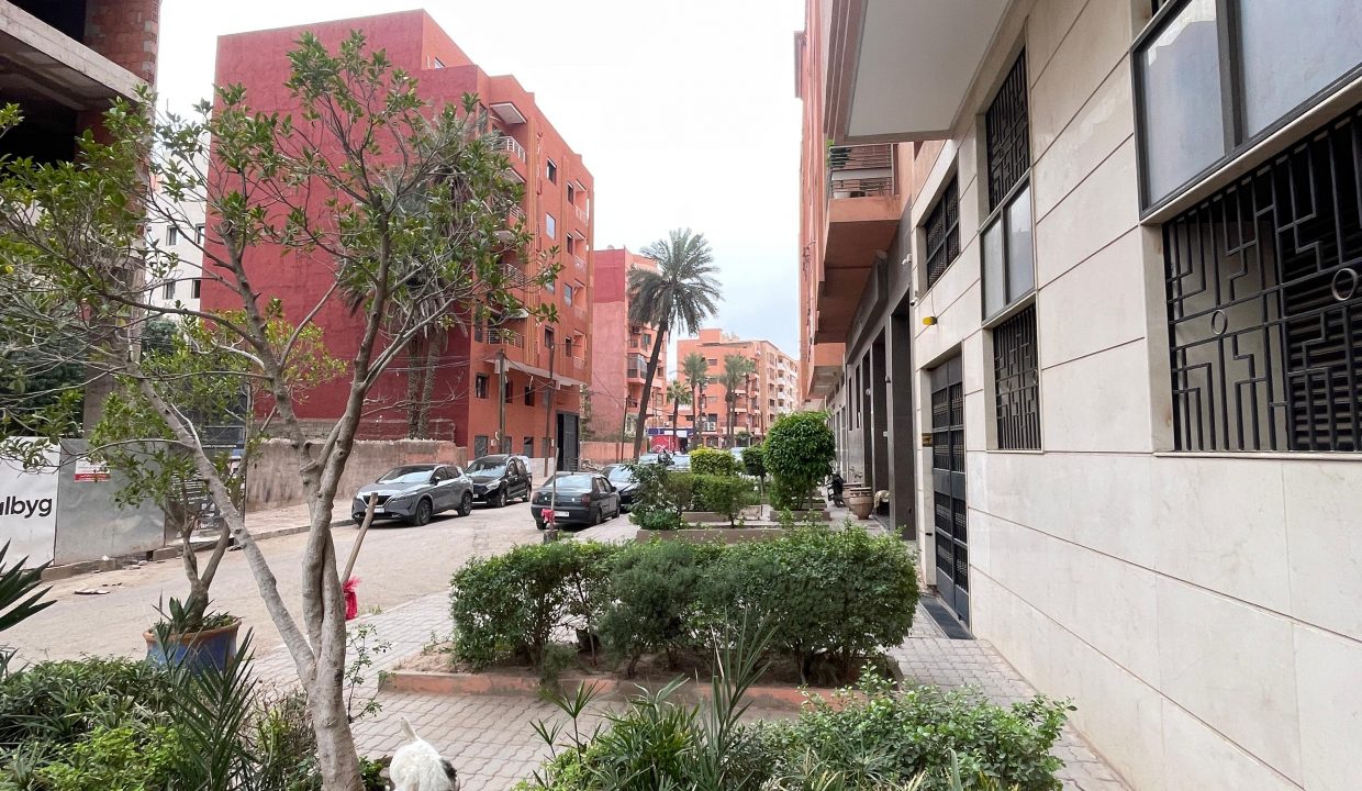 WhatsApp Image 2026-03-19 at 15.07.00 (1)